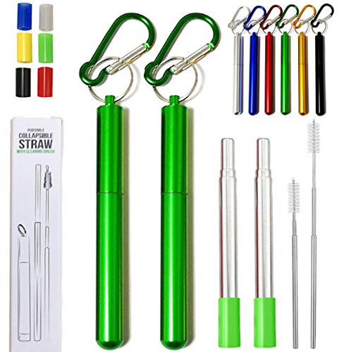 Hoshen Lot de 2 pailles télescopiques réutilisables en métal portables avec brosses et embouts en silicone avec étui Vert