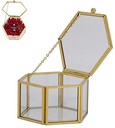QQEE Joyero de Cristal Dorado Transparente, Joyero Geométrico, Joyero Hexagonal, Caja de Cristal Geométrica, Joyero Geométrico Transparente, para Cajas Regalo, Pendientes, Collares, Anillos