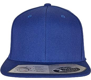Flexfit Unisex Baseball Cap 110 Fitted Snapback royal one Size