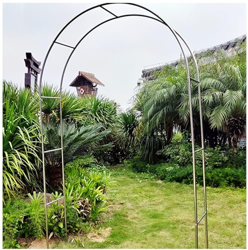 Gartenbogen Rankhilfe Für Kletterpflanzen - Rosenbogen Aus Edelstahl - Ballondekor Blumenbogen Rahmen - 1,2/1,5/1,8/2/2,2/2,4/2,6/2,8/3/3,2/3,5 M Breit - Säulenrohrdurchmesser 19 Mm(Color:19mm,Size:1.