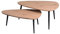 Möbel Jack 2er Set Couchtisch Sofatisch Wohnzimmertisch | Dekor | Metall | Anthrazit | Artisan Eiche | 100x70 cm | 90x58 cm