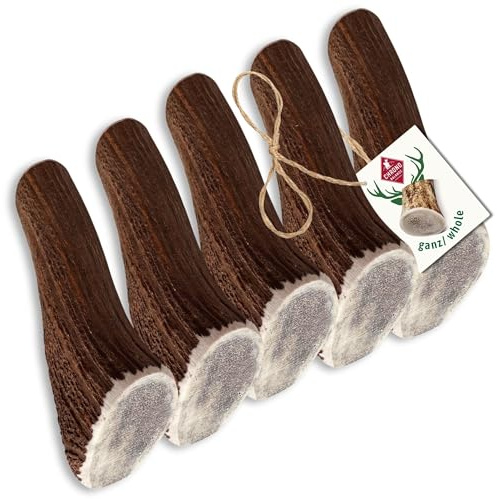 ChronoBalance® XL Kaustange für Hunde ganze Stücke als Kauspielzeug: 100% Hirschgeweih für Hunde, Hundespielzeug, Leckerli Zahnpflege, Kausnack, Geweih Kauknochen, Natürlich ohne Zusätze (5er Set)