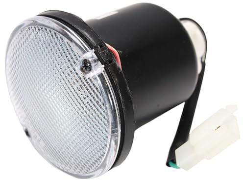 Piaggio Original Rücklicht hinten B000969 kompatibel mit Piaggio Porter