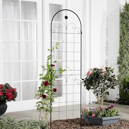 PexFix Rankgitter aus Metall 2 Stück Metall-Garten-Rankgitter 180 x 50 cm Kletterrose Rankgitter für Kletterpflanzen Rankgitter für Rosen dekoratives Rankgitter 2 Stück A-HW91002