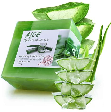 Seifen Aloe Vera, Naturseife, Vegane Duschseife, Vegan Feste Dusche, Duschseife für alle Hauttypen Duschgel, Körperseife für Männer/Frauen, Badeseife Aufhellend Feuchtigkeitsspendend, 100g (Aloe)