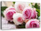 Feeby Leinwandbild Blume Bild Kunstdruck Pflanze Violett 70x50 cm