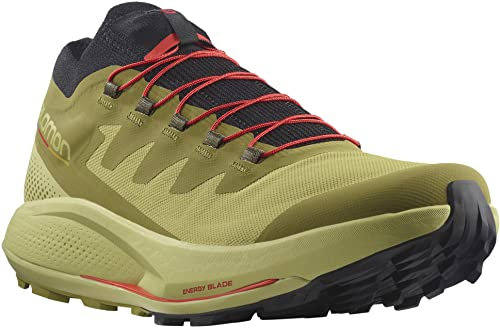 Salomon Herren Running Shoes, Green, 48 EU