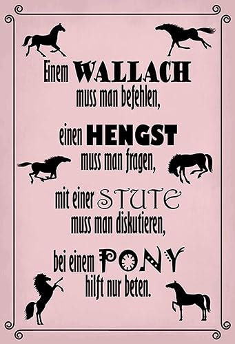 Hebold Blechschild 20x30 cm Spruch Pferde Wallach Hengst Pony Stute DekoMetall Deko Schild - Gew�lbt, Abgerundete Ecken, Vorgebohrte L�cher, Made in Germany.