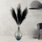 Faux Black Pampas Grass Fluffy x 3 Stems, Tall Pampas Grass Artificial Large Black Ornaments Living Room Accessories, Large Black Feathers for Tall Floor Vase, Halloween Home Decor, 116cm/45in Long
