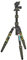 3 Legged Thing Punks Corey 2.0 Ultra Compact Travel Tripod with Airhed Neo 2.0 (RG-JFFA-G4Y9) (Moss Green)