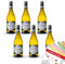 Scaranto Lugana DOC, trocken, 2023, sortenreines Weinpaket + VINOX Winecards (6x0,75l)