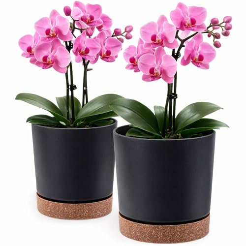 PECZEKO Blumentopf matt, Pflanzkübel aus Übertopf Kunststoff Dekorativer Topf für, groß und klein Pflanzen, 2er-Set blumenkübel, blumenkübel kräutertopf (2 Pack) Anthrazit, ø 13 cm