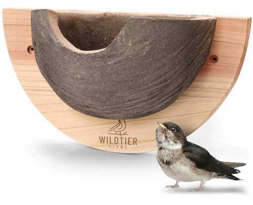 wildtier liebe 1er Schwalbennest, Nisthilfe Natur für Mehlschwalben aus Massiv-Holz und naturgetreuen Schlammerden - unbehandelt, wetterfest, Schwalben Nistkasten