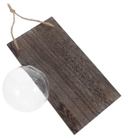 KITANDOVE Vase Mural pour Plantes Hydroponiques Support De Propagation avec Autocollant Et Clou Décoration pour Maison Et Appartement