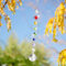 Sonnenfänger Kristall, Kristall Regenbogen Sonnenfänger, Hängender Sonnenfänger, 31mm Windspiel Sonnenfänger für Kronleuchter Anhänger, Fenster, Garten, Hochzeit Dekor