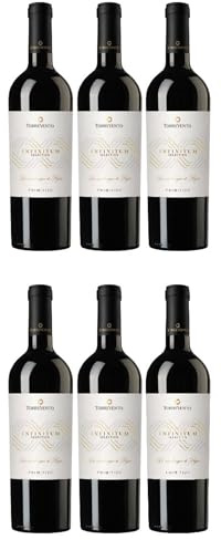 Torrevento Infinitum Primitivo Puglia Rosso IGT 2025 (6 x 0,75 l)