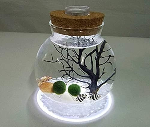 LED Aquarium Marimo Kit,Creative Led Night Light Micro Landscape Eco Bottle Glass Terrarium Globe Jar,With Living Moss Balls,Pebbles,Seashell,Black Fan Coral,Gift For Christmas,Wedding Event,Pictu