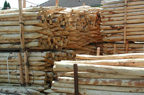 Gartenwelt Riegelsberger Zaunpfahl gespitzt Ø 5-7 cm Länge 175 cm Kastanienholz französische Kastanie Zaunlatte Zaunbretter