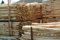 Gartenwelt Riegelsberger Zaunpfahl gespitzt Ø 5-7 cm Länge 175 cm Kastanienholz französische Kastanie Zaunlatte Zaunbretter