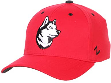 Zephyr Herren Stretch Fitted Hat Team Color
