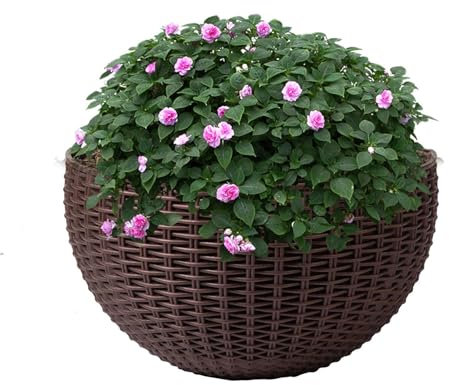 Jardinera De Flores para Colgar En La Pared Semicircular Tipo Ratán, Maceta Interior para Plantas, Maceta Exterior para Agua, 21 * 16,5cm, con 2 X Ganchos, 2 X Tornillos, 2 X Juegos De Tornillos