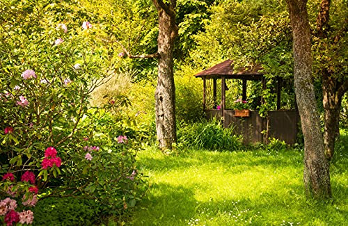 NATUR DESIGN Fototapete VLIES-350x260 cm (699A)-Wald Bäume Landschaft Pflanzen Blumen Garten Wandtapete-Inkl. Kleister-Vliestapete Bild Dekoration Wand-Dekor Moderne Motiv-Tapete Panorama Poster XXL