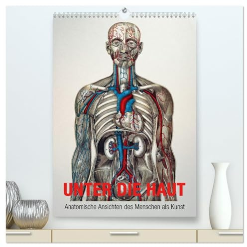 Unter die Haut (hochwertiger Premium Wandkalender 2026 DIN A2 hoch), Kunstdruck in Hochglanz: Anatomische Ansichten des Menschen als Kunst (CALVENDO Gesundheit)