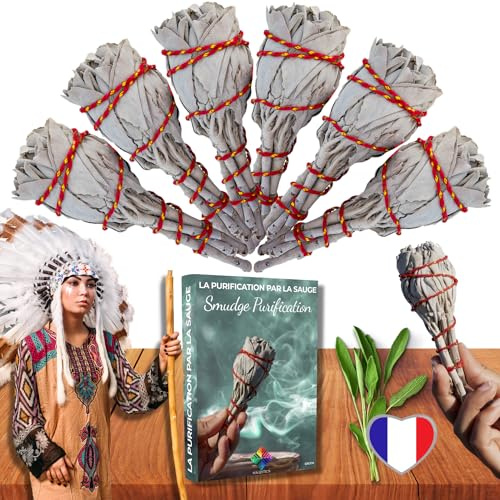 Weißer Salbei Reinigung x 6 + praktisches E-Book (PDF) – Indianersalbei-Stick zum Abbrennen von Negativ- und Geisterenergien – Reinigung, Meditation, Entspannung