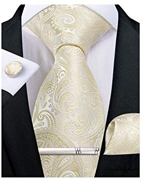 DiBanGu Paisley-Krawatten für Herren, Seidenkrawatte und Einstecktuch, Manschettenknöpfe, Krawattenklammer-Set, gewebt, klassische Herren-Krawatte für Hochzeit, Party, Light Champagne, 150 cm