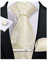 DiBanGu Paisley-Krawatten für Herren, Seidenkrawatte und Einstecktuch, Manschettenknöpfe, Krawattenklammer-Set, gewebt, klassische Herren-Krawatte für Hochzeit, Party, Light Champagne, 150 cm