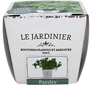 Kit Coltivazione per il Prezzemolo con vaso in ceramica, terriccio e semi