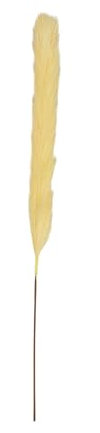 Ligne Déco - Plumeau Artificiel Champagne - Lot de 4 - Décoratif - Élégant - Tendance Déco - Fleurs Artificielles - Durable - Entretien Facile - Plante Artificielle Intérieur - Plastique - 77cm