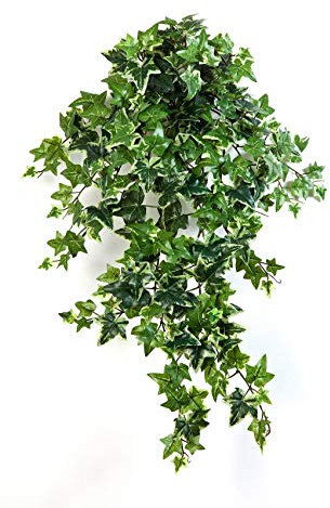 artplants.de Tralcio d'edera Decorativa Luka, 262 Foglie, Bianco-Verde, 70cm - Edera Artificiale/Decorazione pensile