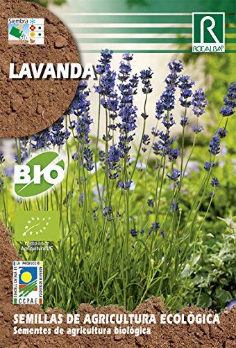 Semillas ECOLOGICAS Lavanda 0.2 gr