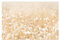 Bilderwelten Fototapete Gräser 290cm x 432cm Blumen Modern Natur Blumentapete Vliestapete Tapete Wanddeko Ideen Wohnzimmer Schlafzimmer Küche