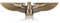 Buzopuw Adler-Metall-Auto-Emblem, 3D-Hawk-Tier-Dekoration, Metall-Auto-Aufkleber, Heck-Dekoration (Bronze)