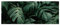 Scenolia Brise Vue Feuillage Vert Croissance VEGETALE, H.1.2 x L.3 m, 100% occultant, Made in France Colliers de Fixation offerts