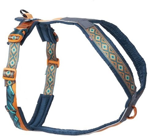 Non-stop dogwear Line Harness 5.0 Rachel Pohl Edition | Teal/Oak, Gre:8