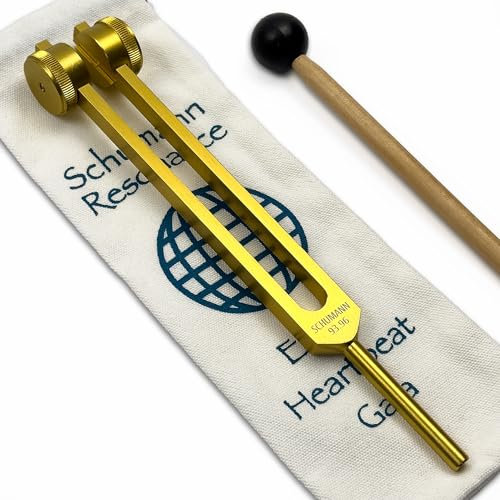 Schumann Gewichtete Stimmgabel mit Weltraster-Gravur, 93,96 Hz, Tragetasche und Schläger, Klangheilungsinstrumente und Biofeld-Harmonisierung, Chakra-Ausrichtung, Vibrationstherapie-Werkzeuge, Gold