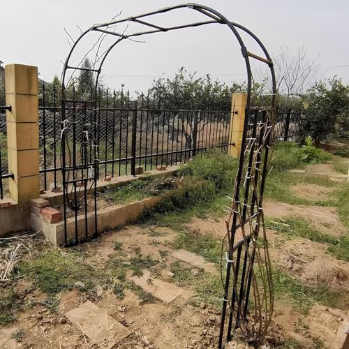Decorative Garden Fence, Garden Arch Trellis Metal Arbor Decorative Archway For Plants Black/White Multiple Sizes(Black,2.5x2.4m/8.2x7.9ft)