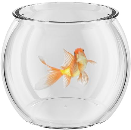 Lisutupode Aquarium de Bureau 2/3/4/6L - Bol À Poisson Transparent en Verre pour Table ou Affichage De Bureau