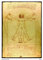 onthewall Da Vinci L 'Uomo Vitruviano 30 x 40 cm Kunstdruck Poster