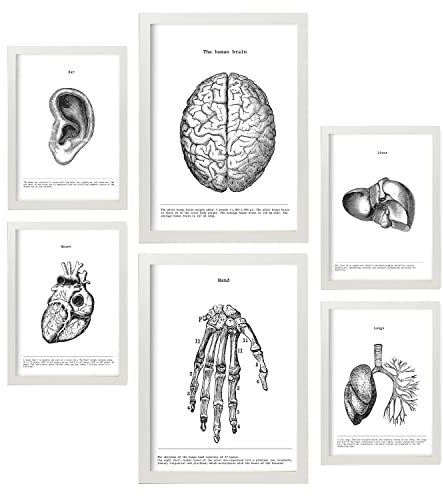 Nacnic Set von 6 Poster Belies. Sammlung von Platten mit ästhetischer Collage für Innendekoration. Größen A3 und A4. Rahmenlos