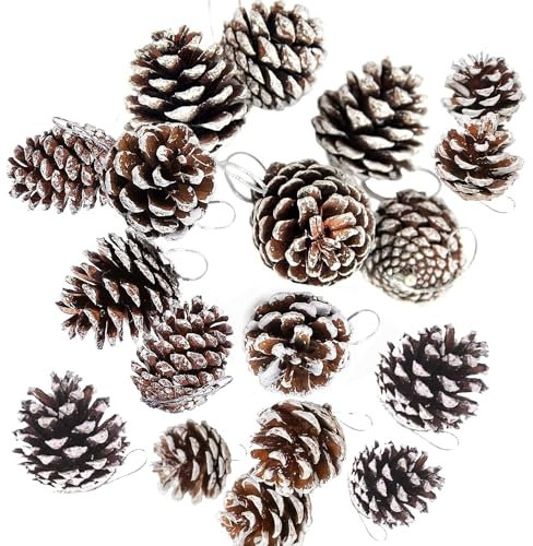 Ompinda Christmas Pine Cones - 18 Pcs Natural Mini Snow Ornaments - Rustic Dried in Bulk for DIY Crafts, Xmas Tree Party Decoration