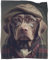 BaoFFF Hipster-Hund in Kleidung 2, weiche, gemütliche Decke, Glatte, weiche Flanelldecke für unterwegs, Leichter Fleece-Überwurf für Couch und Bett, 200 x 230 cm