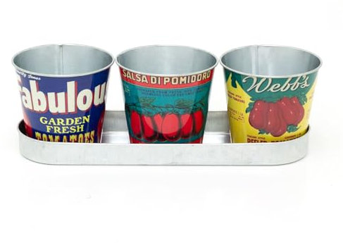Carousel Home Set of 3 Vintage Style Planters with Tray | Retro Tomato Tin Plant Pots | Window Sill Herb Planter Flower Pots on Saucer