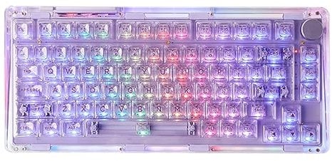 KiiBoom Phantom 81 V2 75% Transparente Mechanische Gaming Tastatur, Hot-Swap-fähige Tastatur mit RGB, Transparenten Tastenkappen, Wiederaufladbarem Akku und DREI Modi für Windows/Mac (Lila)