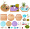 WEBEEDY Miniature Zen Garden Kit Miniature Ocean Beach Sandbox Decorations Mini Zen Garden Accessories for Home Office Desktop Decor, 10/10.5/11cm