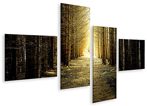 islandburner Prime Bild auf Leinwand Waldweg Tanne Gegenlicht Bilder Wandbilder Poster