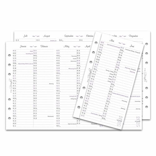 SinnWunder® 2025 Jahresübersicht Größe Personal – Stabile Kalendereinlage zum Ausklappen - Jahreskalender - Leporello - 6-fach Ringbuch-Lochung